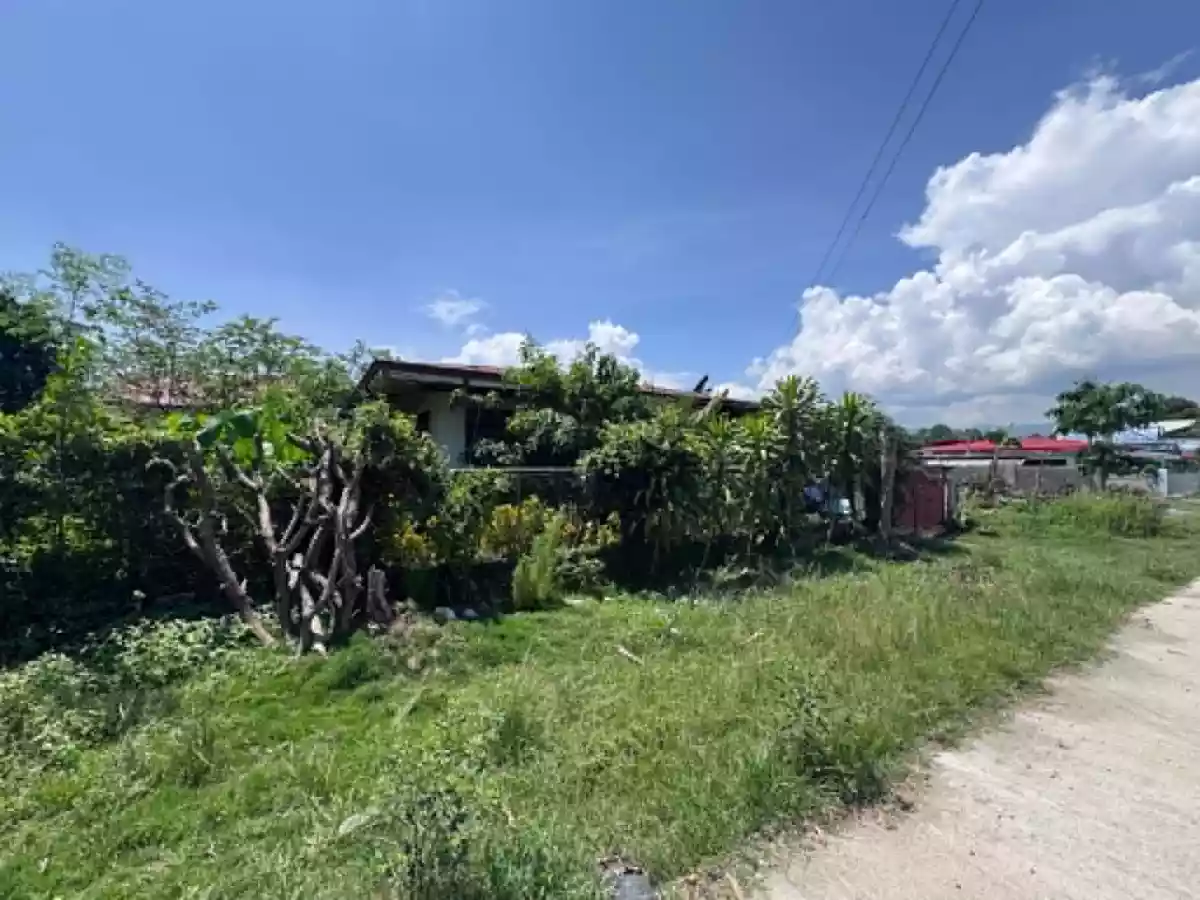 For Sale: 335 sqm Residential Lot in Tipanoy, Iligan City — Residential Lot in Tipanoy, Iligan City, Lanao del Norte — Photo 3