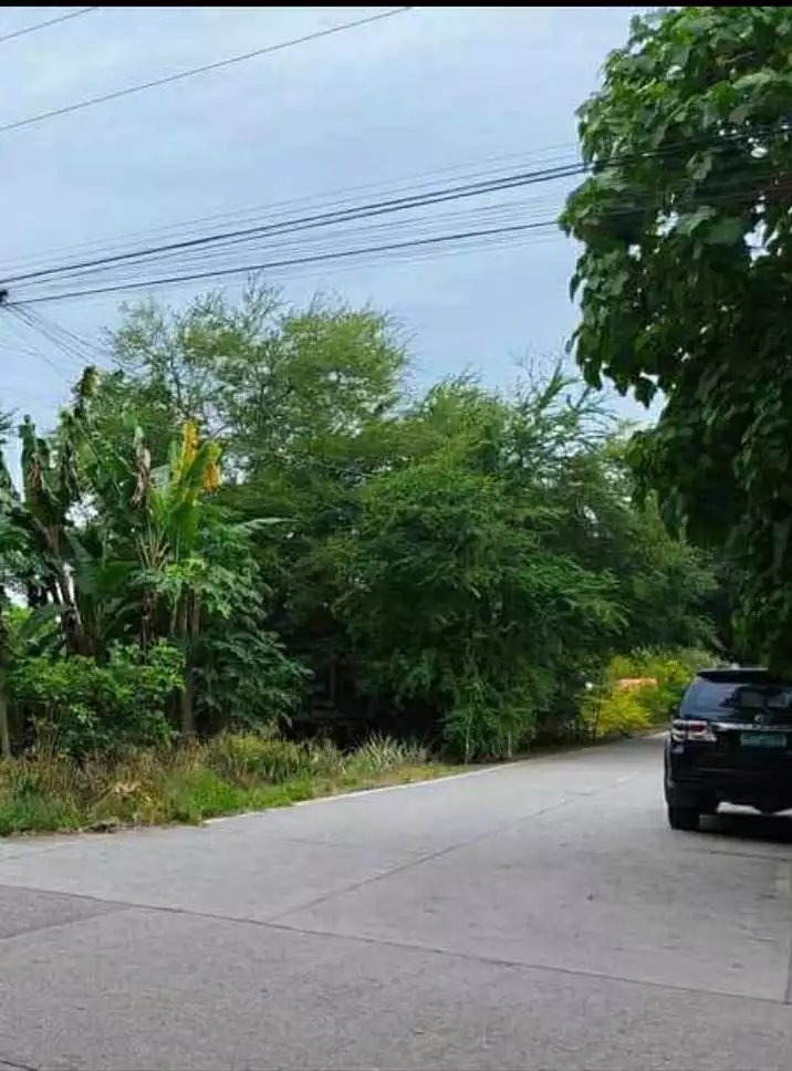 For Sale: Commercial Lot in Ligaya, General Santos City — 1000 sqm — Commercial Lot in Main Road, Near UST GENSAN, Ligaya — Photo 4
