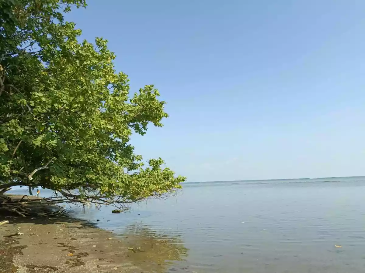 For Sale: Beach Lot in Aramaywan, Quezon, Palawan — 29955 sqm