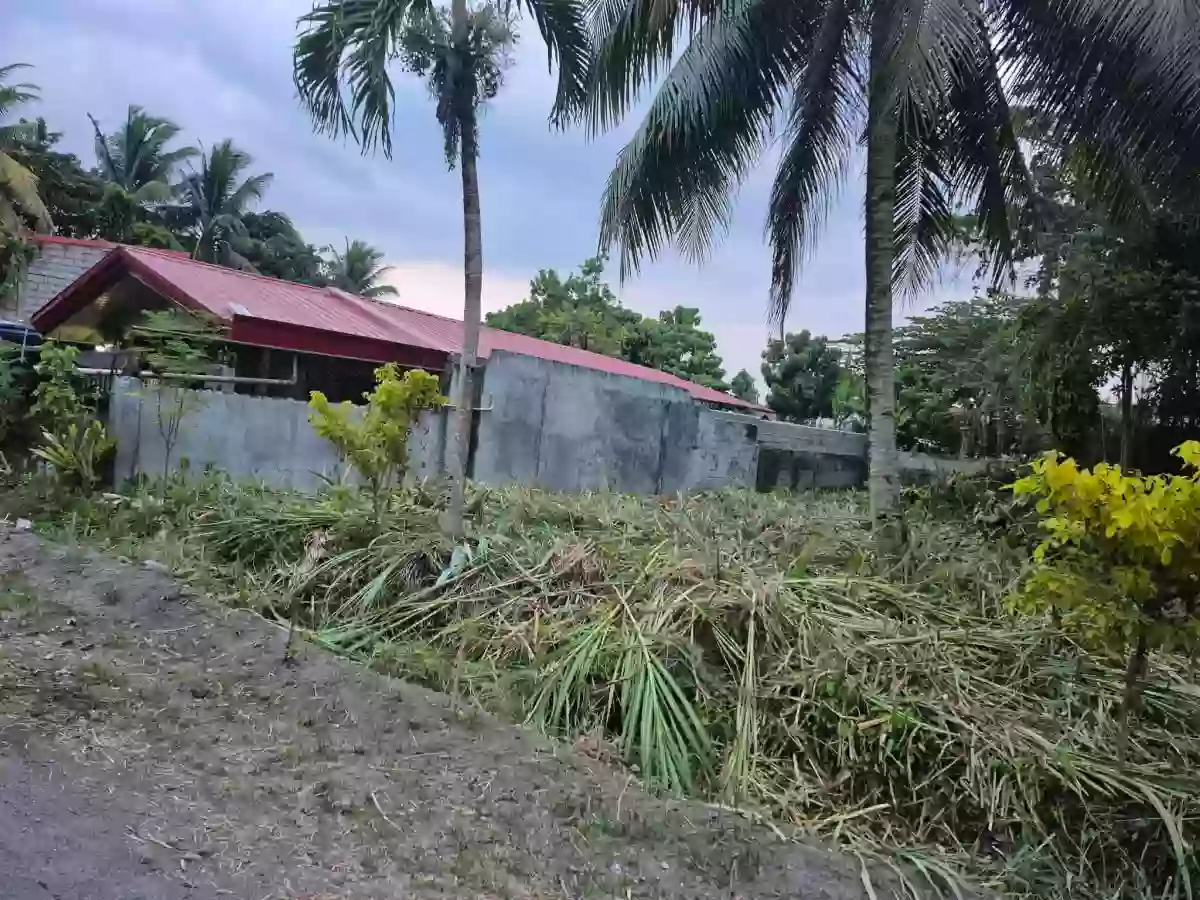 202 SQM RESIDENTIAL LOT FOR SALE NEAR KORONADAL CITY HALL — Residential Lot in Zone III (Pob.), Koronadal, South Cotabato — Photo 5