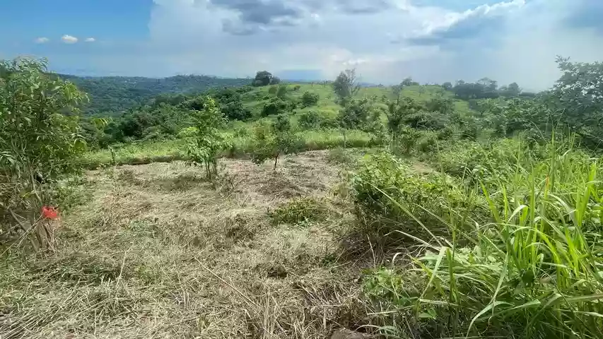 For Sale: Residential Lot in San Juan, Antipolo — 1120 sqm — Residential Lot in Antipolo, Rizal, 1870 — Photo 3