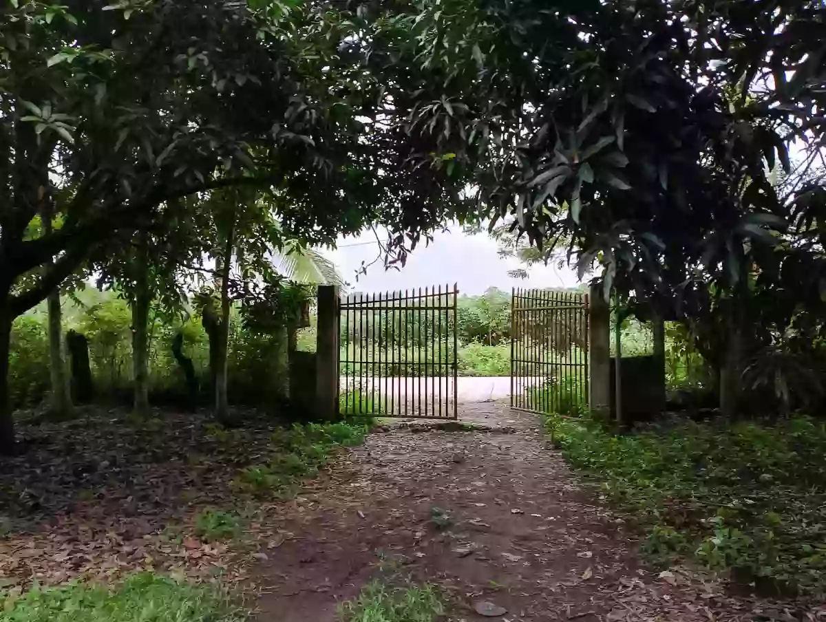 For Rent: Agricultural Lot in Upper Klinan, Polomolok — 10000 sqm — Agricultural Lot in Polomolok, South Cotabato, 9504 — Photo 2