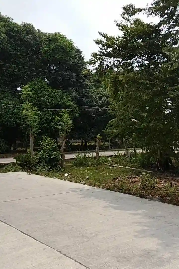 For Sale: Commercial Lot Near Dumaguete Public Fruit Market, Dumaguete City — 12684 sqm — Commercial Lot in Cantil-e, Dumaguete City, Negros Oriental — Photo 5