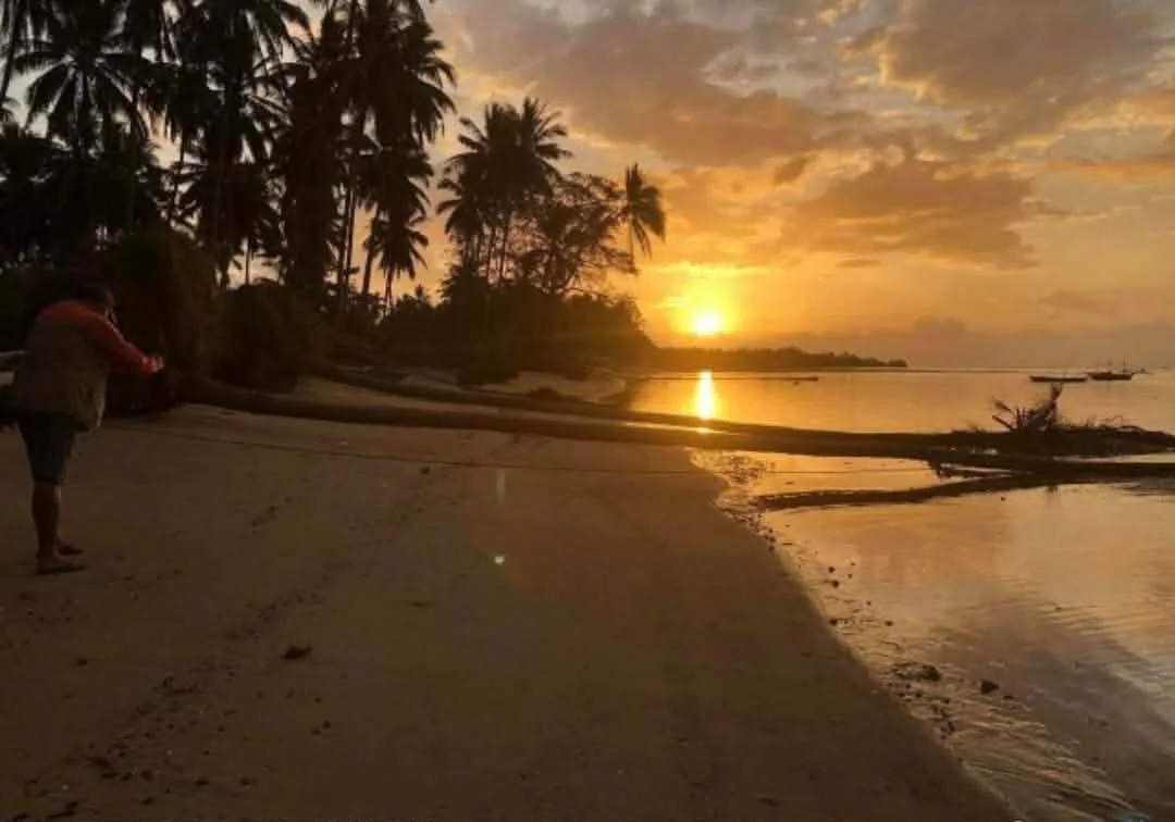 For Sale: Lucbuan Beach Lot in Puerto Princesa City — 195329 sqm Investment — Beach Lot in Puerto Princesa City, Palawan, 5300 — Photo 6