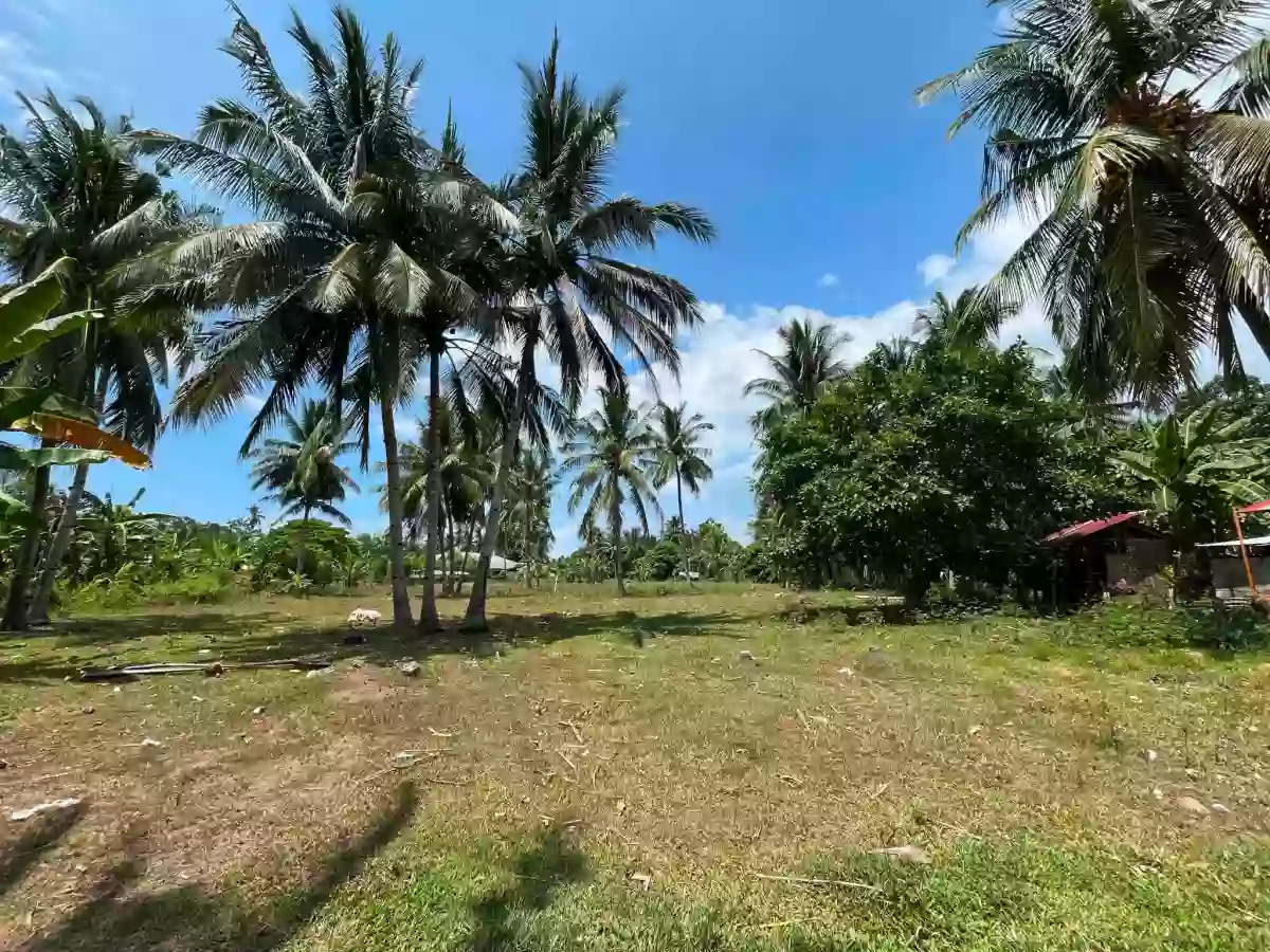For Sale: Residential Lot in Balayagmanok, Bacung — 944 sqm — Residential Lot in Bacung, Negros Oriental, 6216 — Photo 3