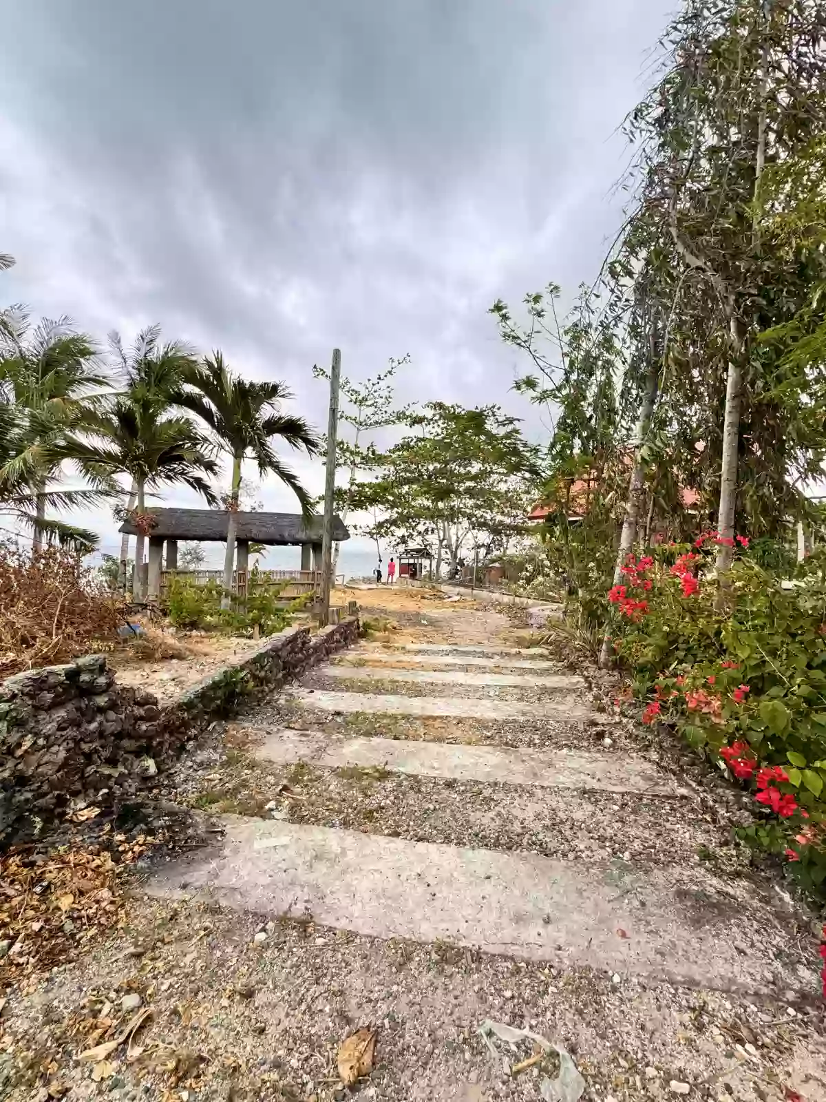 For Sale Beach Lot in Calape, Daang-Bantayan, Cebu 500 sqm — Beach Lot in Daang-Bantayan, Cebu, 6013 — Photo 3