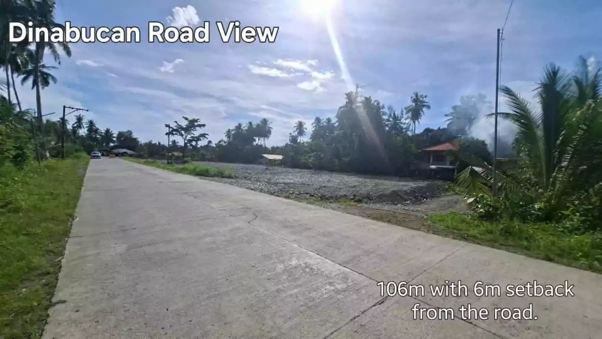 For Sale: 4246 sqm Commercial Lot in Mabini, Cabadbaran City — Commercial Lot in Mabini, Cabadbaran City, Agusan del Norte — Photo 4