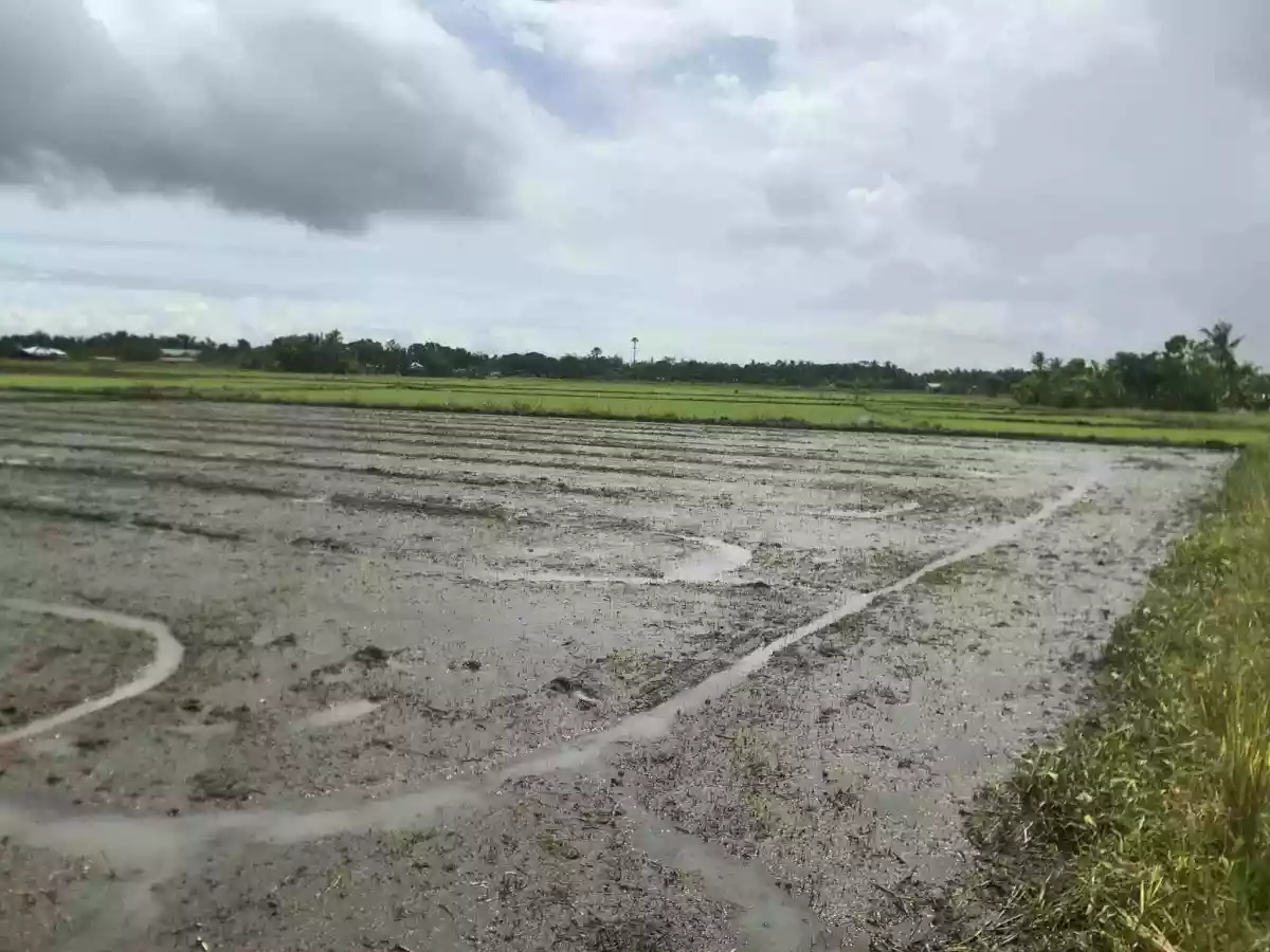 Clean title — Residential Lot in Ilawod Poblacion, Zarraga, Iloilo — Photo 3