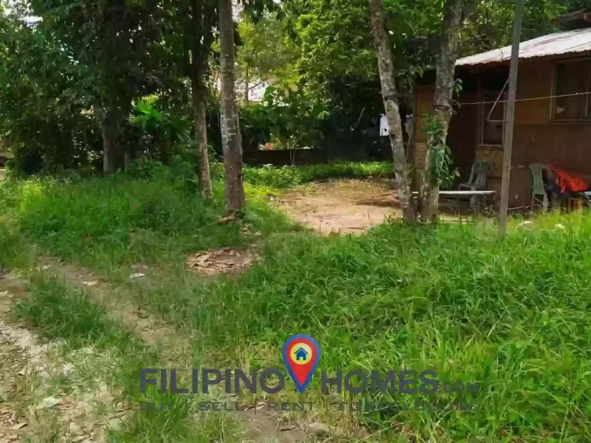 For Sale: Residential Lot in Lanao, Kidapawan City — 276 sqm