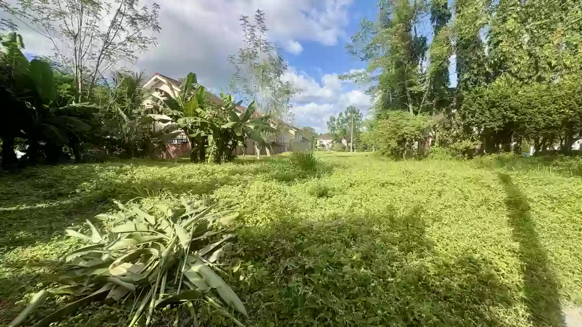 336 sqm Residential Lot For Sale in Panipuan, Mexico, Pampanga — Residential Lot in Mexico, Pampanga, 2021 — Photo 7