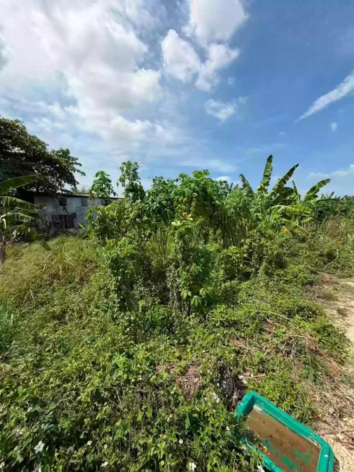 CONSOLACION LOT FOR SALE - GOOD FOR WAREHOUSE — Industrial Lot in Consolacion, Cebu, 6001 — Photo 3