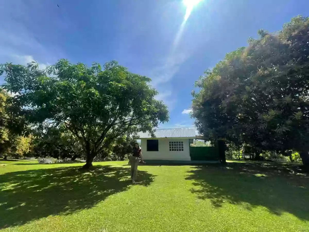 PRIME 1-HECTARE LOT FOR SALE IN PAHIRON, LUMBIA! — Agricultural Lot in Cagayan de Oro City, Misamis Oriental, 9000 — Photo 4