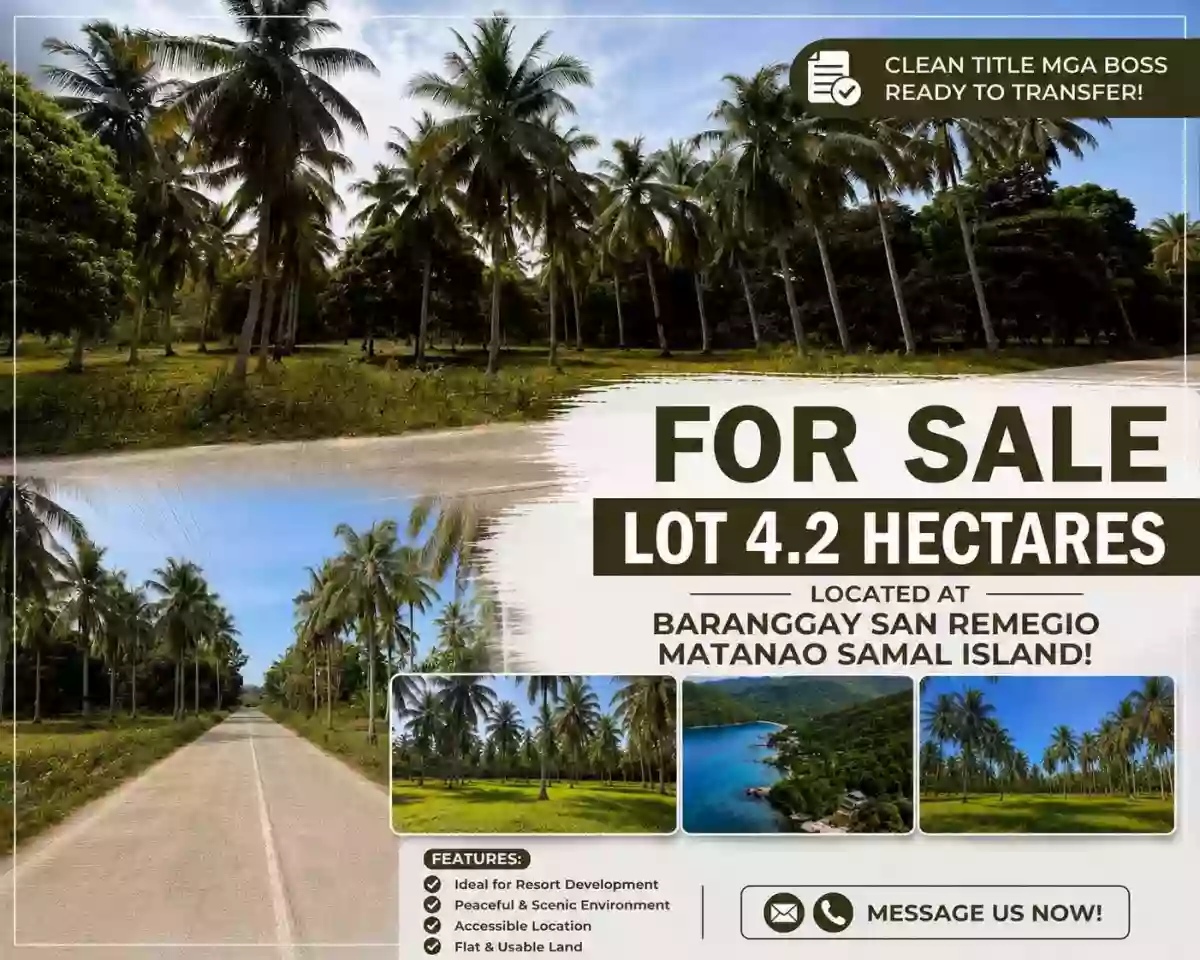 FOR SALE: Agricultural Lot Near Samal Beaches, San Remigio, Samal — 42000 sqm — Agricultural Lot in Samal, Davao del Norte, 8119 — Photo 2