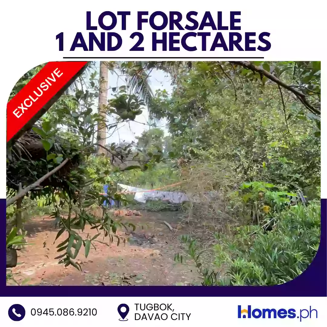 For Sale: Residential Lot in Tugbok (Pob.), Davao City — 30000 sqm — Residential Lot in Davao City, Davao del Sur, 8000 — Photo 5