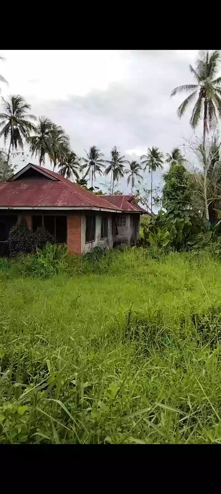 Clean Title — Commercial Lot in Banilad, Bacung, Negros Oriental — Photo 2
