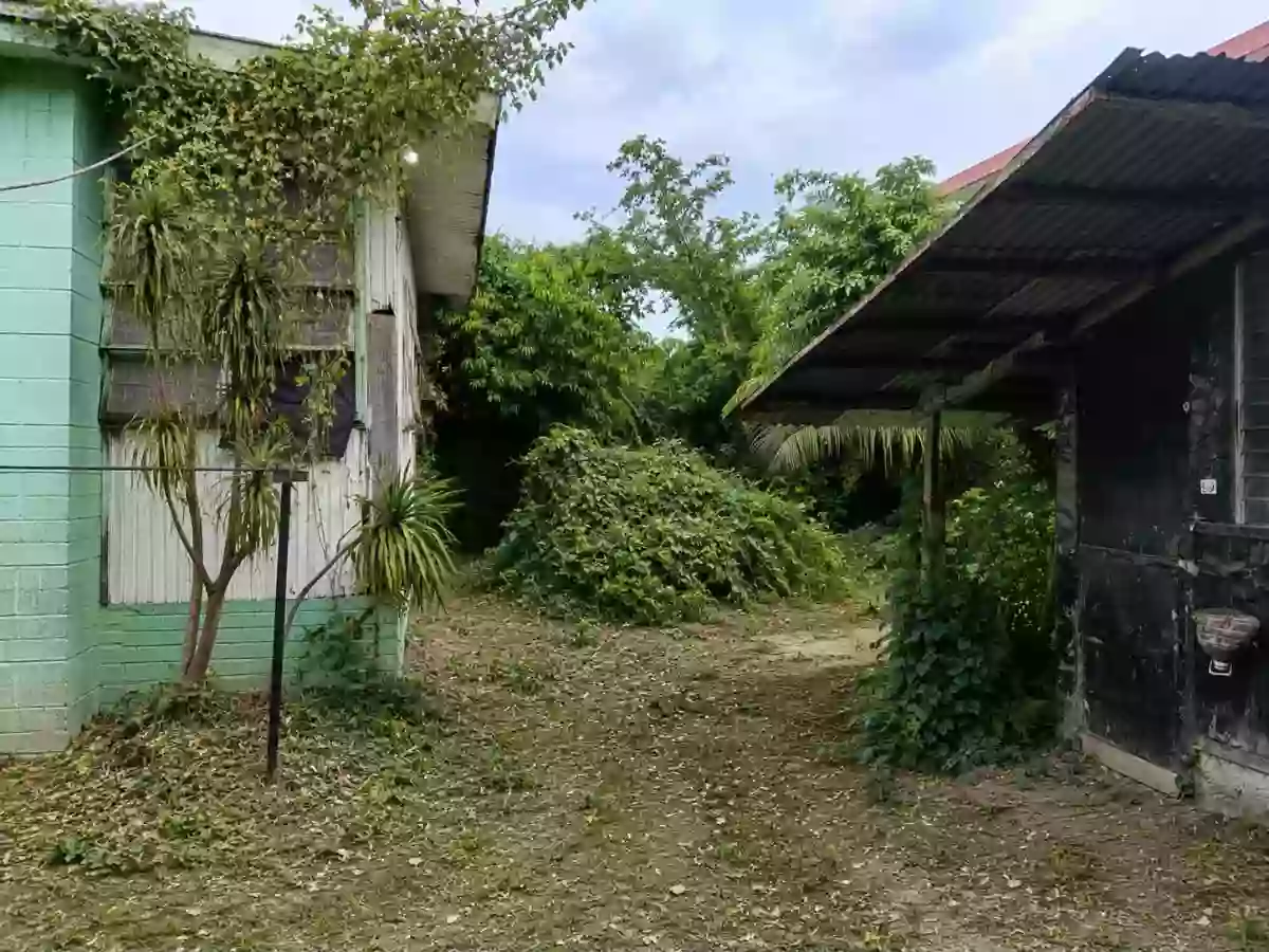 RESIDENTIAL LOT FOR SALE with 2 House — House and Lot in Naga City, Camarines Sur, 4400 — Photo 3
