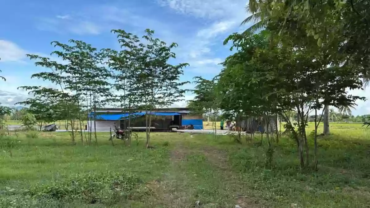 For Sale: 10000 sqm Commercial Lot in Katangawan, Gen. Santos City — Commercial Lot in Katangawan, Gen. Santos City, South Cotabato — Photo 3