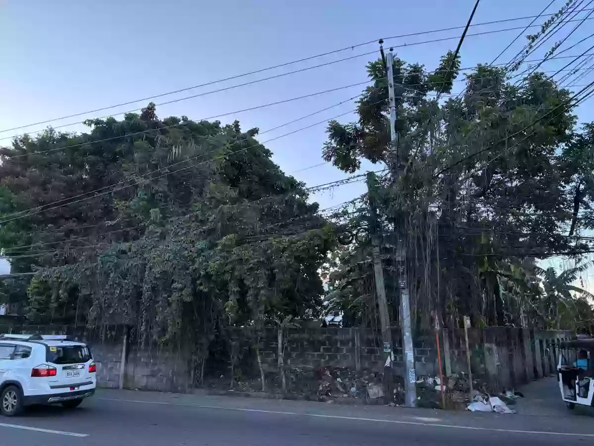 For Sale: Residential Lot in Bagacay, Dumaguete City — 1146 sqm — Residential Lot in Dumaguete City, Negros Oriental, 6200 — Photo 7