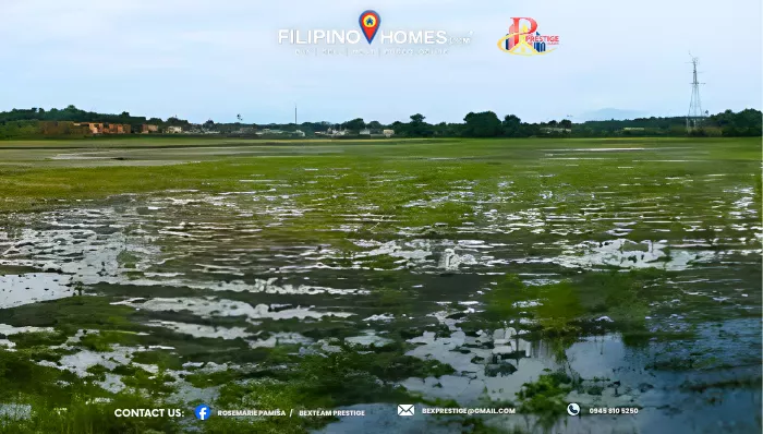 For Sale: Agricultural Lot Near Koronadal, South Cotabato — 10000 sqm — Agricultural Lot in Koronadal, South Cotabato, 9506 — Photo 4