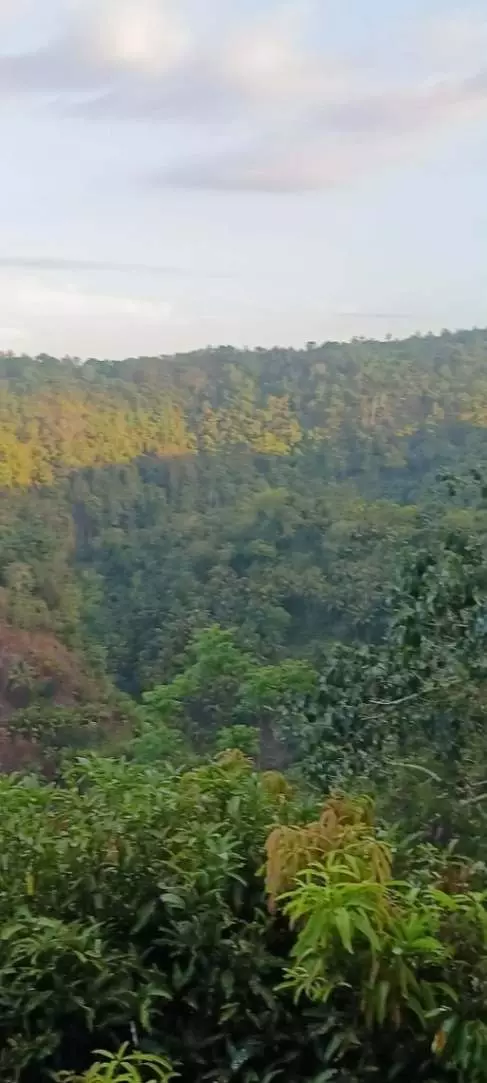 LOT FOR SALE IN JANAYJANAY, SAN JOSE, NEGROS ORIENTAL - photo 2