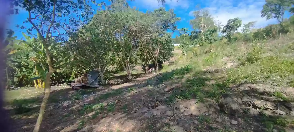 For Sale: Agricultural Lot in Conel, Gen. Santos City — 45987 sqm — Agricultural Lot in General Santos City, South Cotabato, 9500 — Photo 2