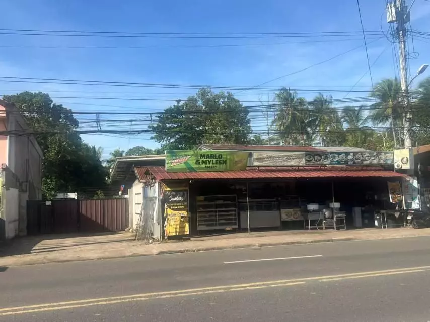 FOR SALE: LOT WITH WAREHOUSE NEAR LTFRB REGION XI OFFICE AND EUREKA WAREHOUSE ALONG LIBBY ROAD DAVAO CITY — Commercial Lot in Bago Gallera, Davao City, Davao del Sur — Photo 3