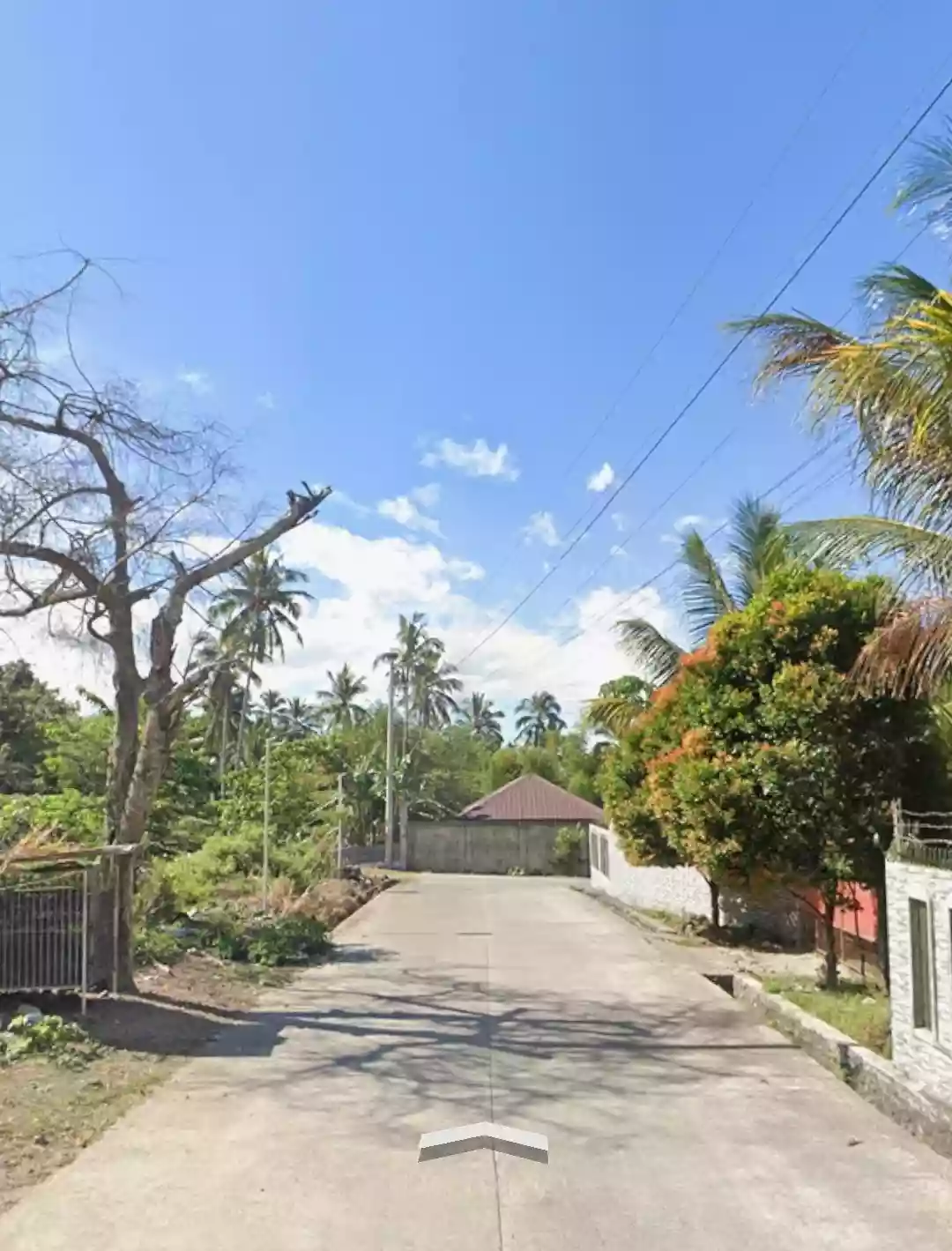 For Sale: Residential Lot Near Spoon Trail,Brgy Alangilan, Bacolod City — 1117 sqm — Residential Lot in Bacolod City, Negros Occidental, 6100 — Photo 3