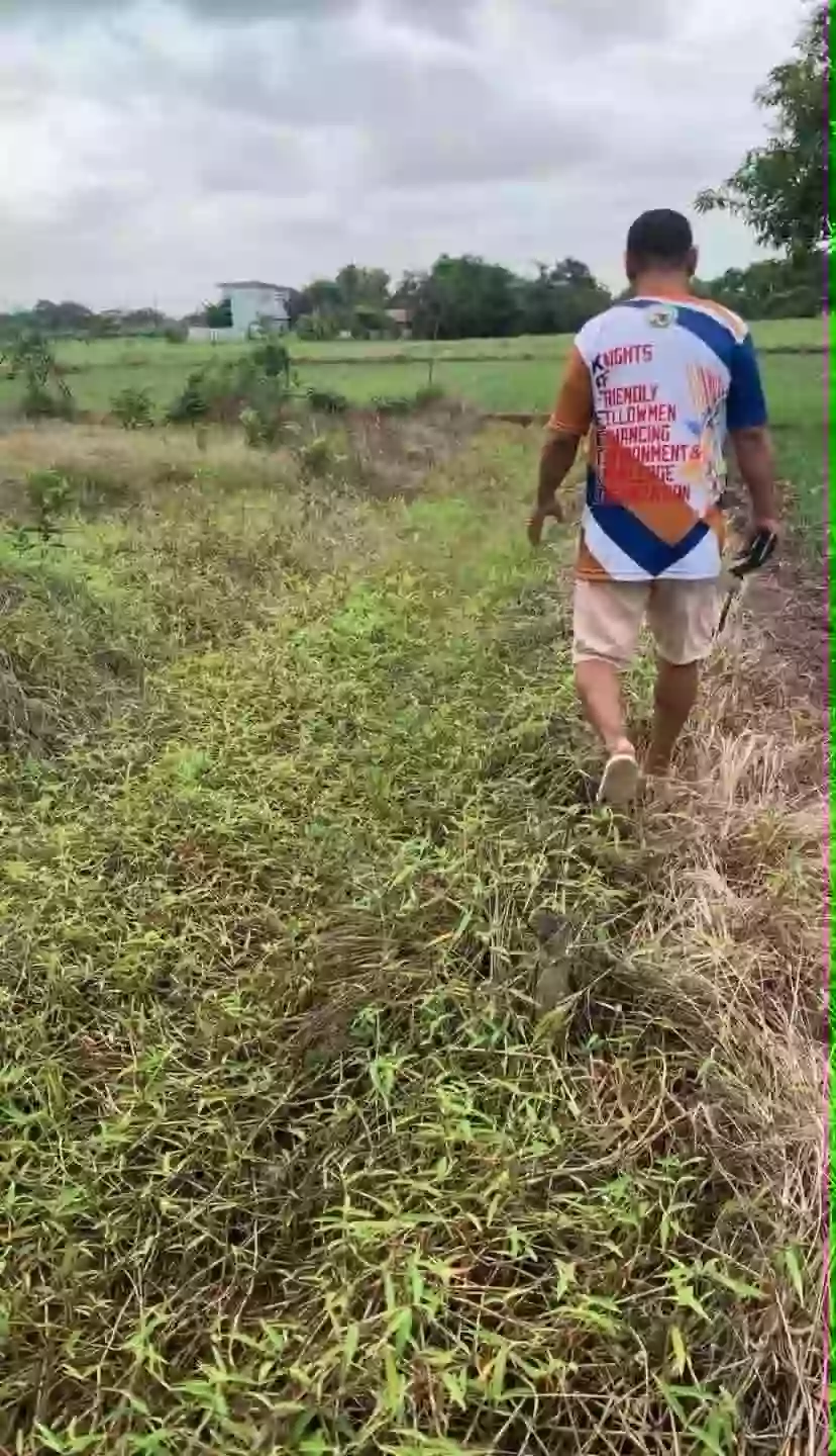 For Sale: Agricultural Lot in Bintog, Plaridel — 3000 sqm — Agricultural Lot in Plaridel, Bulacan, 3004 — Photo 5