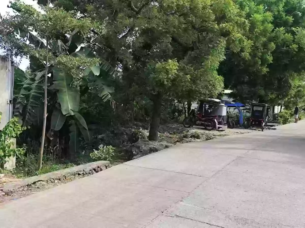 Open photo 16 of 18 — Lot for Sale near CCLEX Access Road