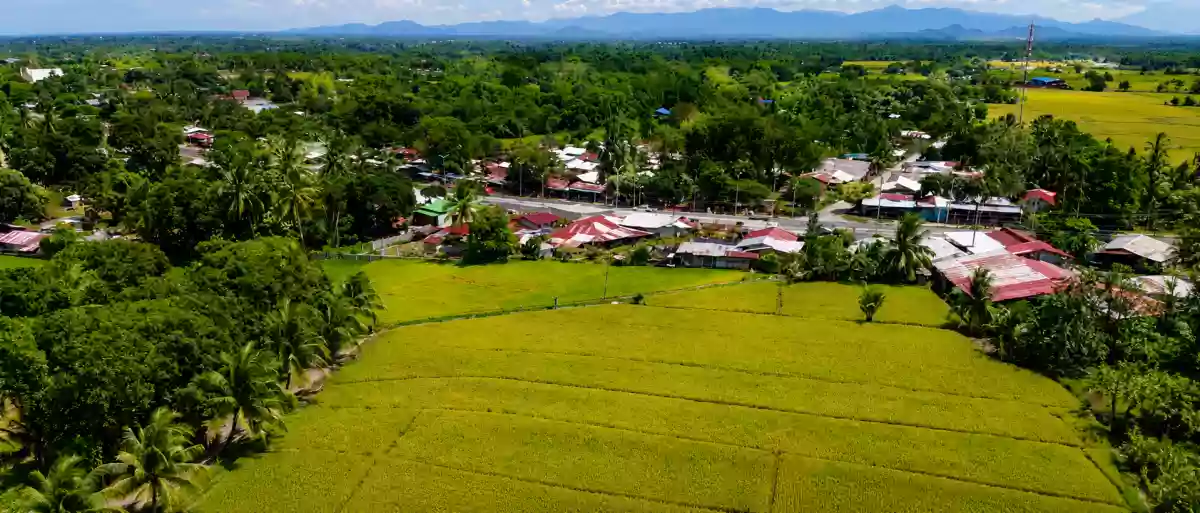 Open photo 12 of 13 — For Sale: Agricultural Lot in Matti, Digos — 40000 sqm along road