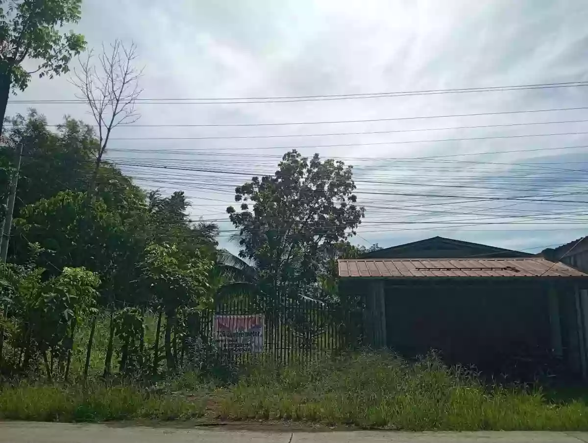 For Sale : 720sqm Lot in Batangan, Valencia