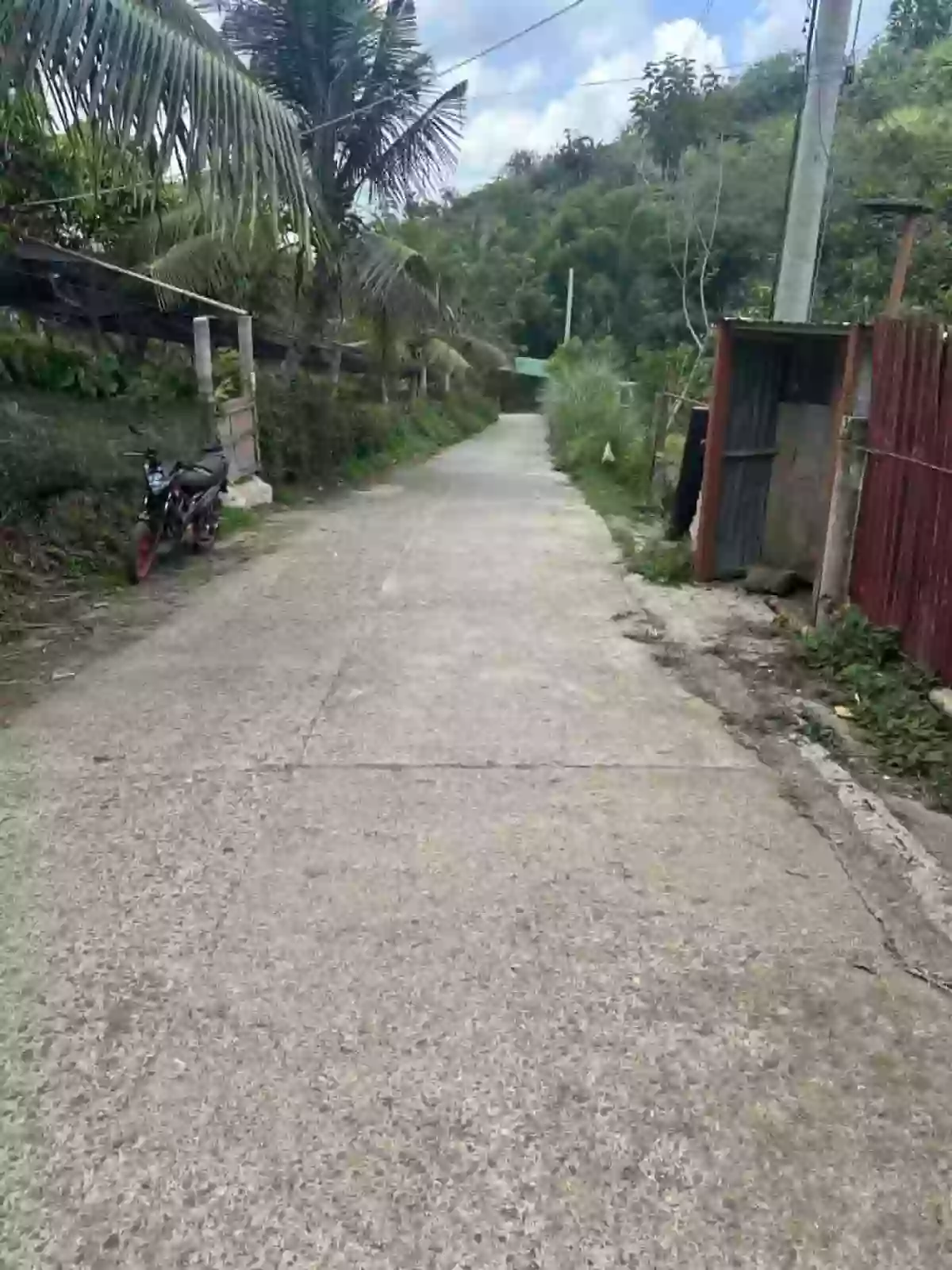 Babag Agricultural Lot for Sale in Cebu City — Investment Land — Agricultural Lot in babag Cebu City, Babag, Cebu City — Photo 2