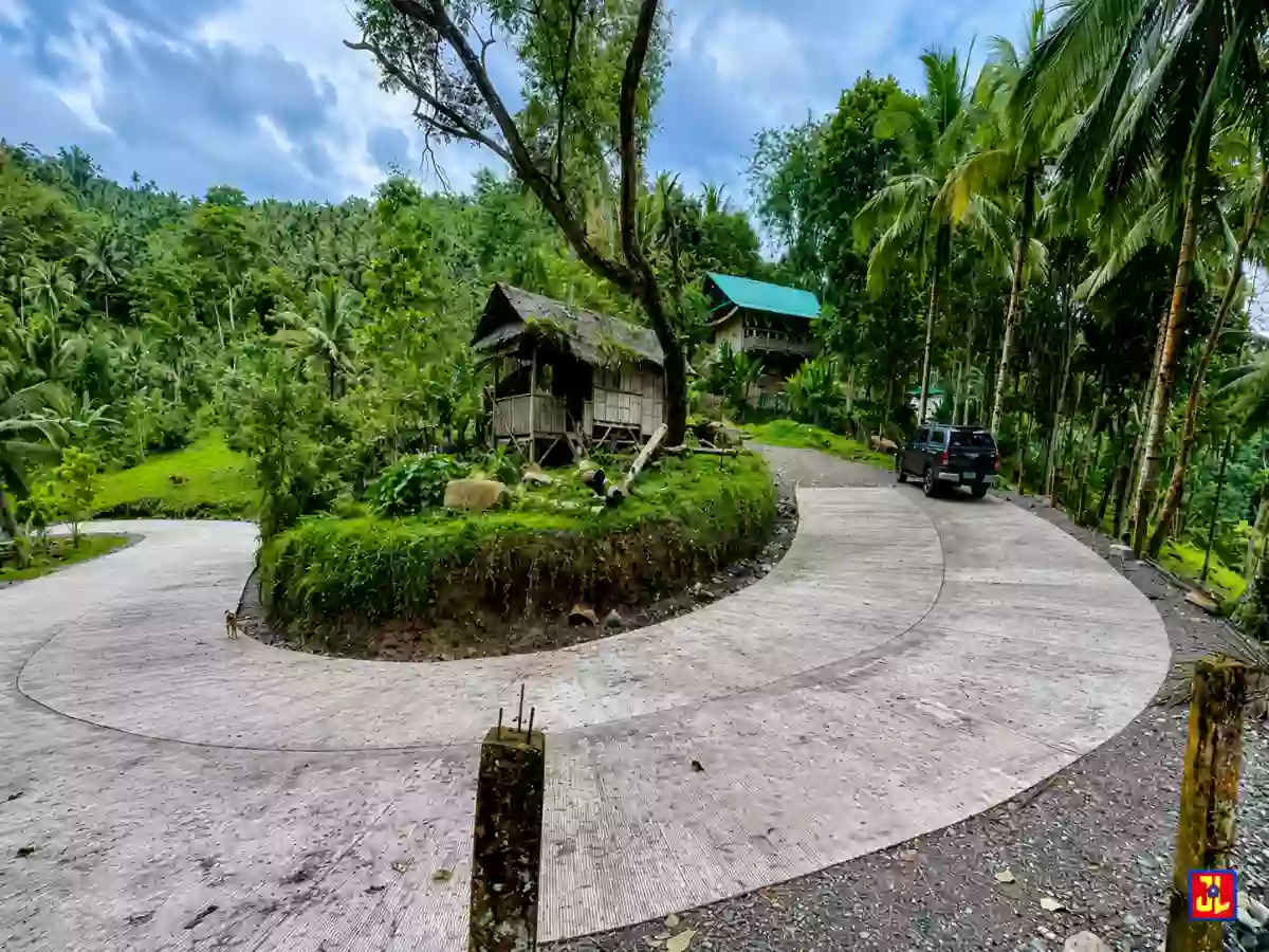 For Sale: 2,514sqm Overlooking Lot in Sagbang, Valencia, Negros Oriental [available] — Residential Lot in Valencia, Negros Oriental, 6215 — Photo 3