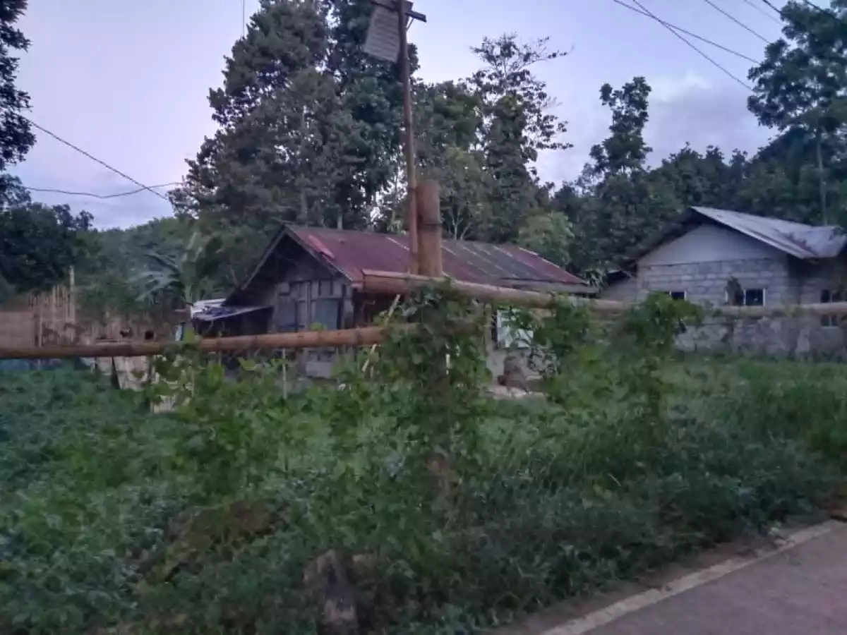 For Sale: Residential Lot in Kalasungay, Malaybalay — 569 sqm — Residential Lot in Kalasungay, Malaybalay, Bukidnon — Photo 3