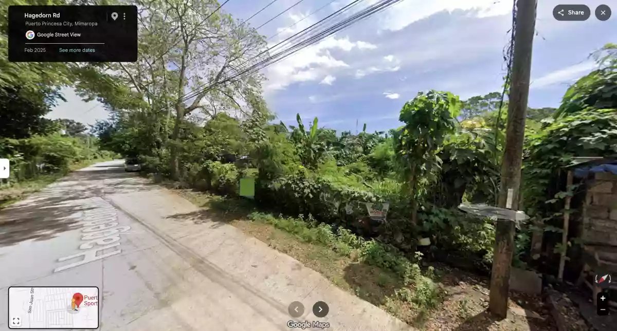 PRIME 2,000 SQM LOT FOR SALE in San Pedro, Puerto Princesa City, Palawan — Residential Lot in San Pedro, Puerto Princesa City, Palawan — Photo 4