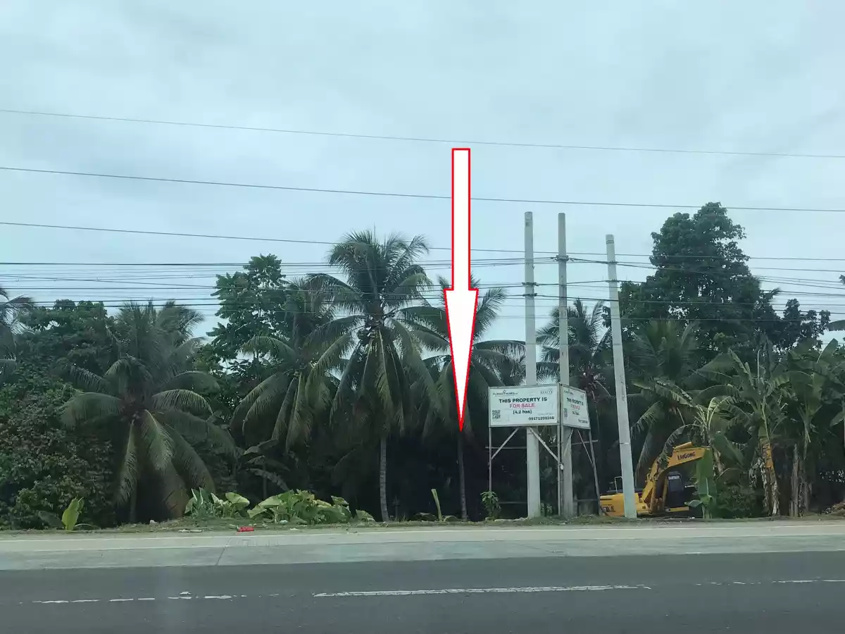 For Sale: Industrial Lot in Toril (Pob.), Davao City — Investors — Industrial Lot in Davao City, Davao del Sur, 8000 — Photo 5