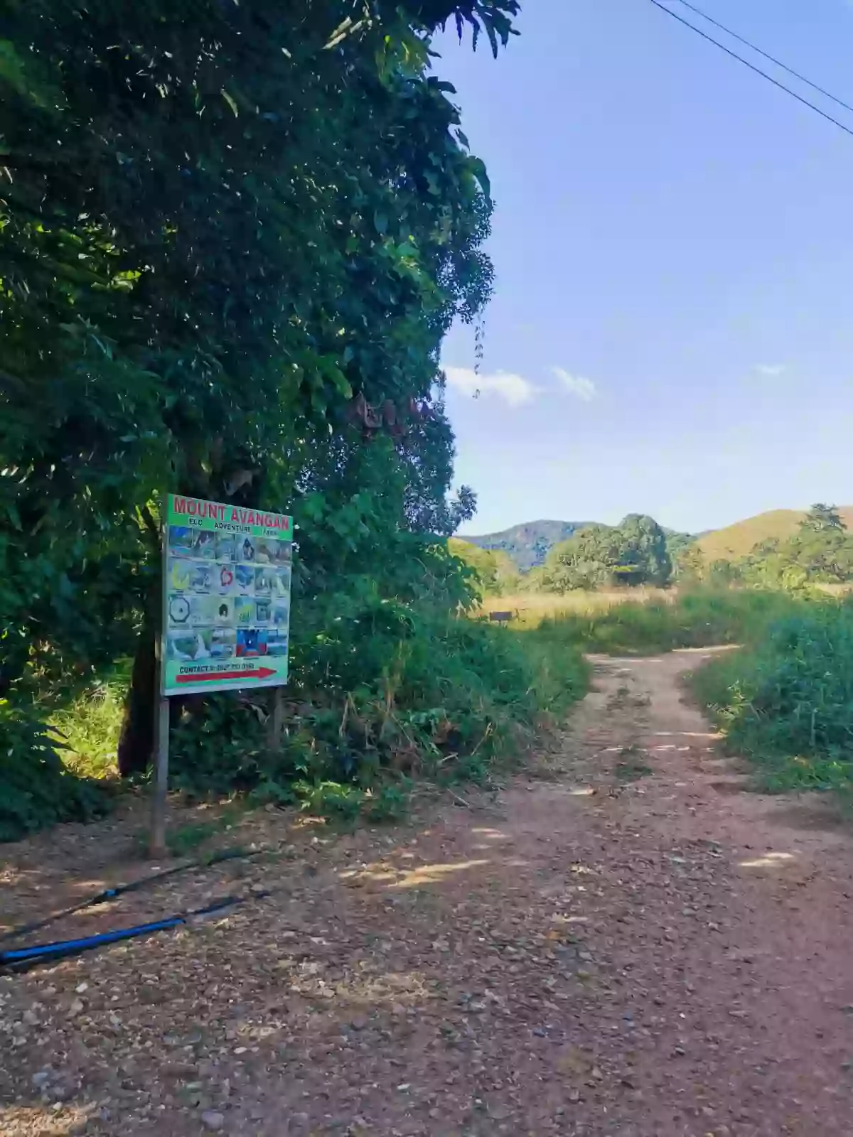 For Sale: Agricultural Lot in Barangay IV (Pob.), Coron — 2601 sqm — Agricultural Lot in Barangay IV (Pob.), Coron, Palawan — Photo 5