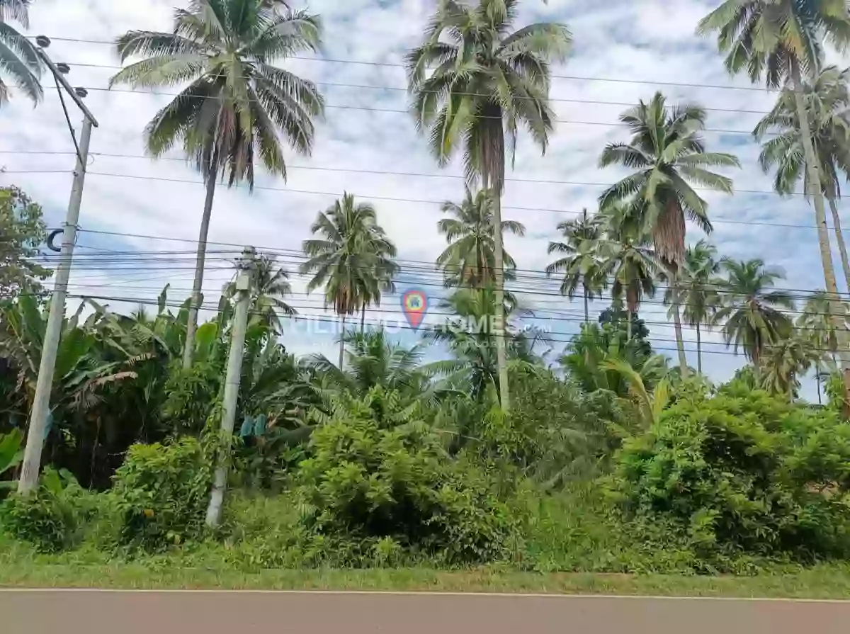 For Sale: Agricultural Lot in Poblacion, Magpet — 1031 sqm