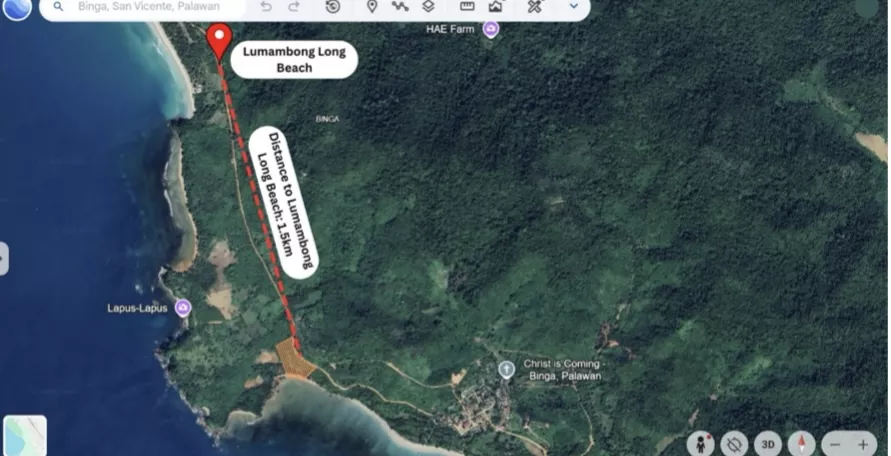 Beach Lot Property FOR SALE at PALAWAN 1.5 hectares Titled — Beach Lot in San Vicente, Palawan, 5309 — Photo 5