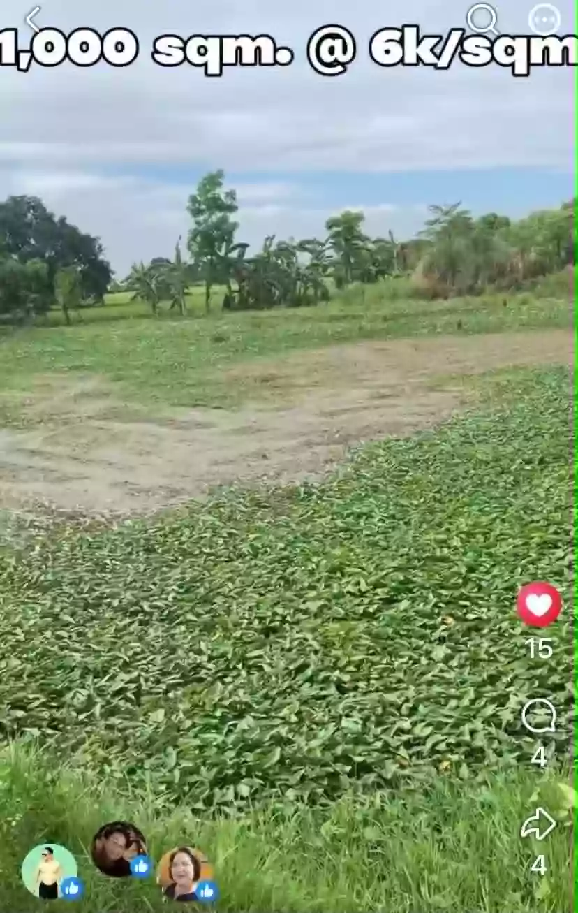 For Sale: Agricultural Lot in Bintog, Plaridel — 1000 sqm