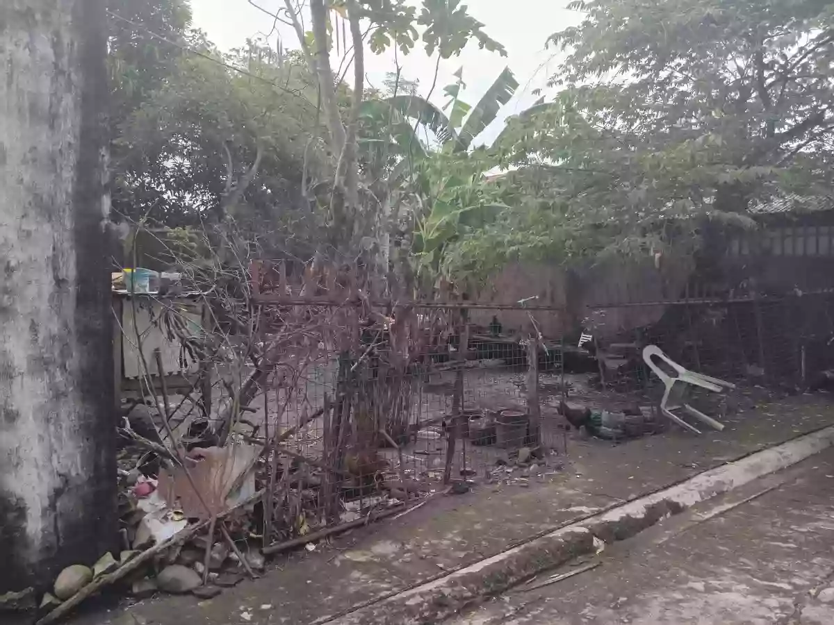 For Sale: Residential Lot in Sampinit, Bago City — 90 sqm