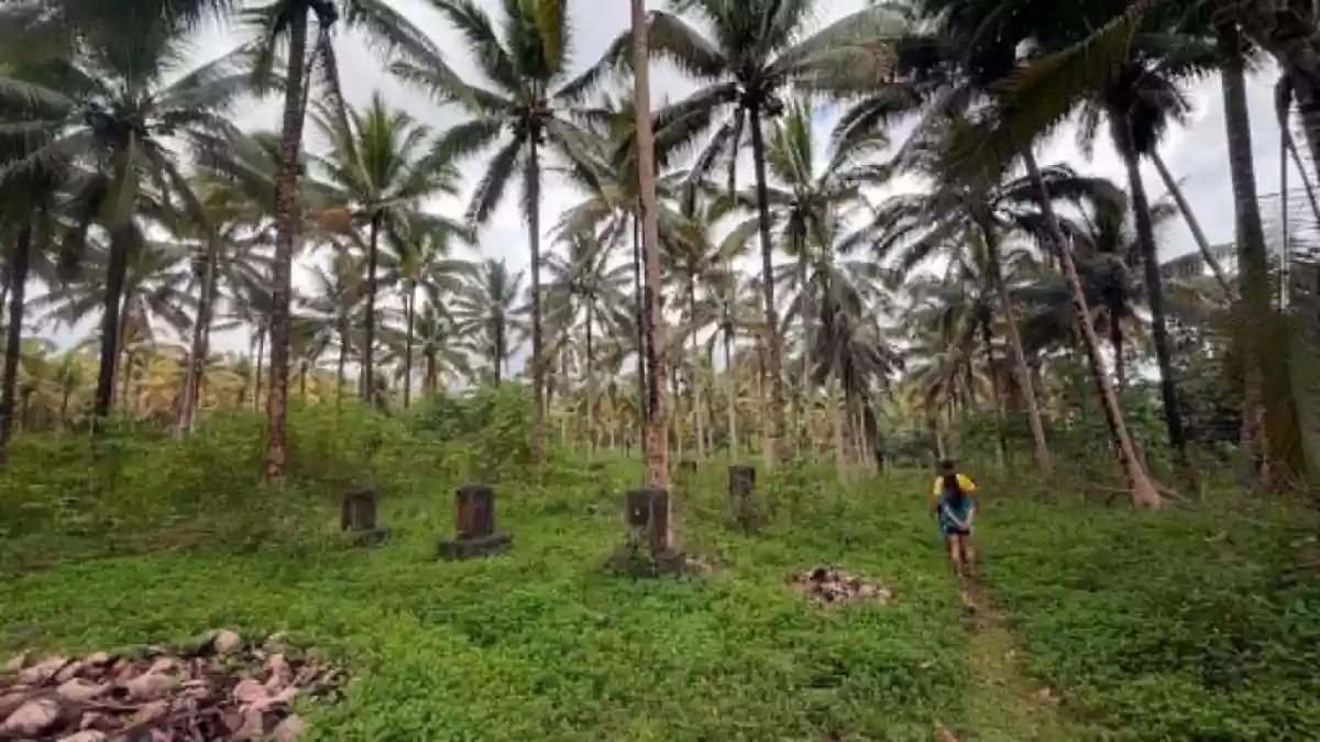 Rush Sale: 107104 sqm Agricultural Lot in Burgos, Aloran — Agricultural Lot in Burgos, Aloran, Misamis Occidental — Photo 6