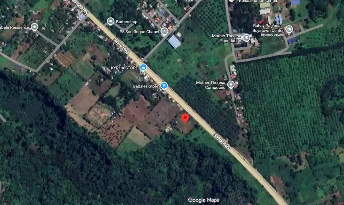 For Sale Commercial Lot in Puerto, Cagayan de Oro City — 1741 sqm — Commercial Lot in Cagayan de Oro City, Misamis Oriental, 9000 — Photo 3