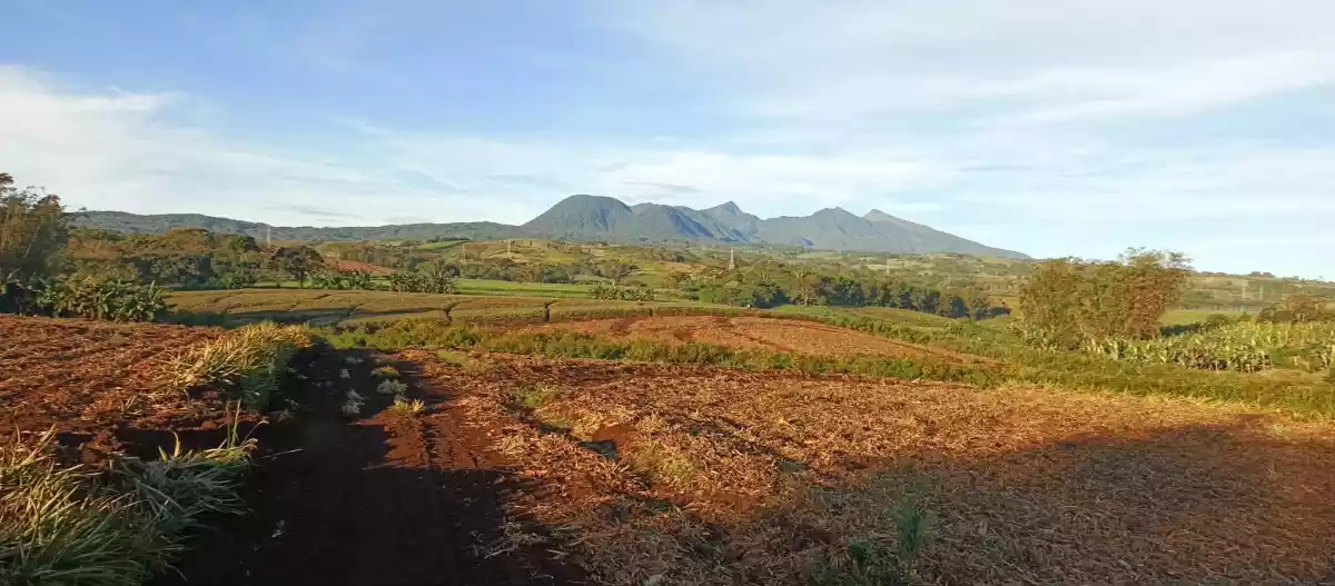 Kalasungay Agricultural Lot for Sale in Malaybalay — 326119 sqm Investment