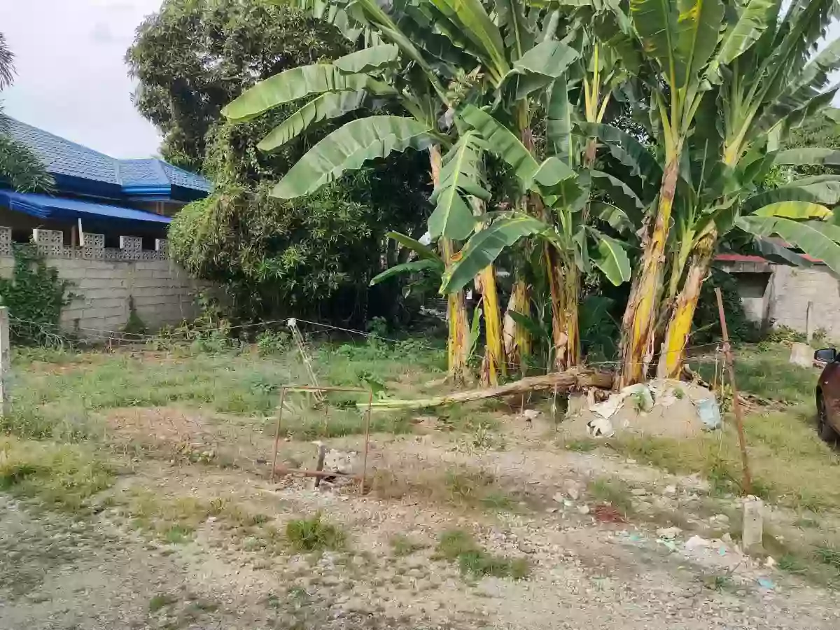 For Sale: Residential Lot in Camanjac, Dumaguete City — 300 sqm — Residential Lot in Dumaguete City, Negros Oriental, 6200 — Photo 2