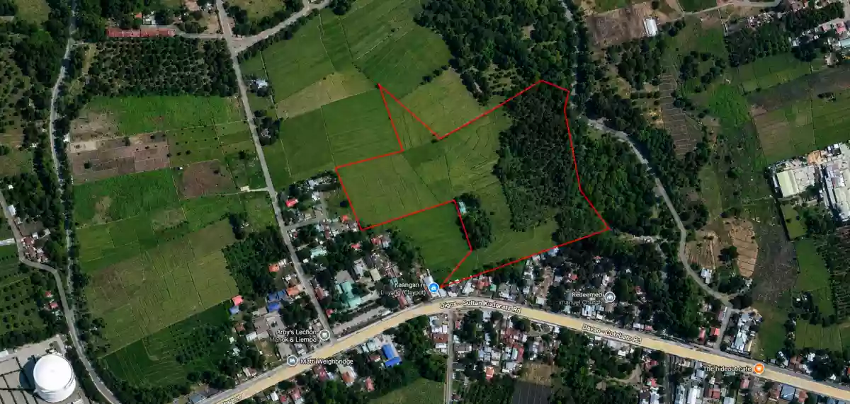 For Sale: Agricultural Lot in Matti, Digos — 40000 sqm along road