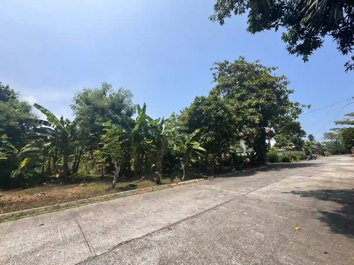 633 SQM Corner Lot For Sale at Executive Village, Carmela Valley Homes Subd. Talisay..