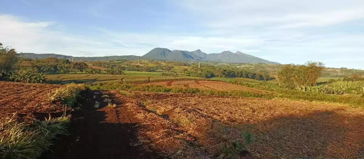Kalasungay Agricultural Lot for Sale in Malaybalay — 326119 sqm Investment — Agricultural Lot in Malaybalay, Bukidnon, 8700 — Photo 3