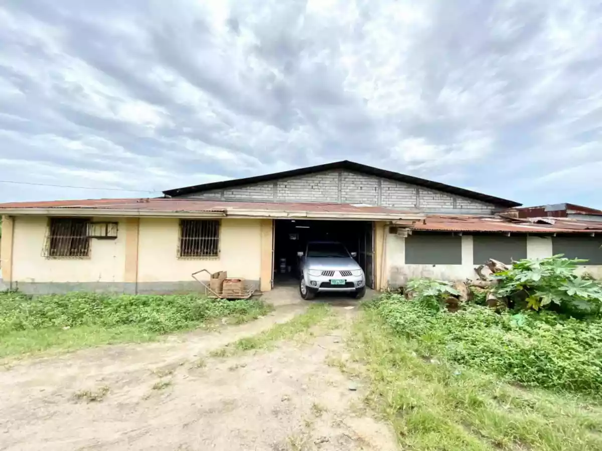 For Sale: Industrial Lot in Telapayong, Arayat — 3250 sqm — Industrial Lot in Arayat, Pampanga, 2012 — Photo 3