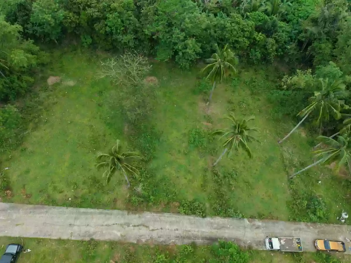 For Sale: Agricultural Lot Near Twin Lakes, Magallanes — 3.2 Hectares — Agricultural Lot in Magallanes, Cavite, 4113 — Photo 4
